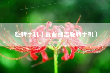 旋转手机（夏普翻盖旋转手机）