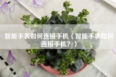 智能手表如何连接手机（智能手表如何连接手机？）