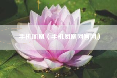 手机凤凰（手机凤凰网官网）