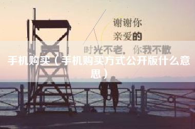 手机购买（手机购买方式公开版什么意思）