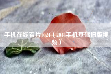 手机在线看片1024（2014手机基础旧版视频）