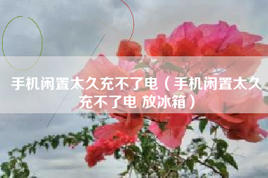 手机闲置太久充不了电（手机闲置太久充不了电 放冰箱）