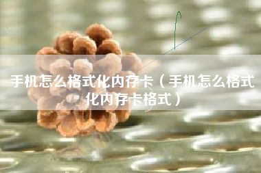 手机怎么格式化内存卡（手机怎么格式化内存卡格式）