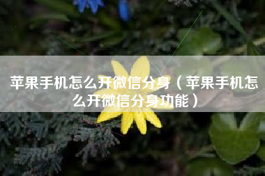 苹果手机怎么开微信分身（苹果手机怎么开微信分身功能）