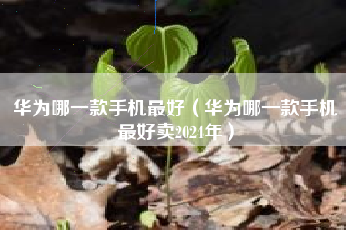 华为哪一款手机最好（华为哪一款手机最好卖2024年）