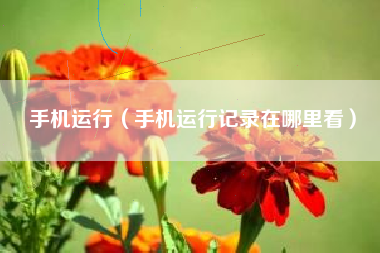 手机运行（手机运行记录在哪里看）
