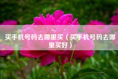 买手机号码去哪里买（买手机号码去哪里买好）