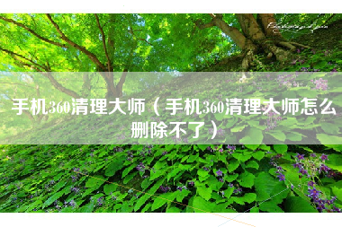 手机360清理大师（手机360清理大师怎么删除不了）