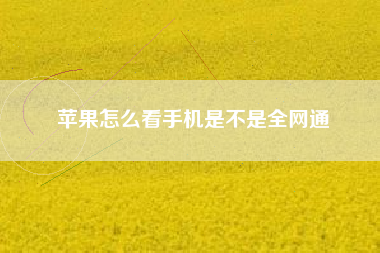 苹果怎么看手机是不是全网通
