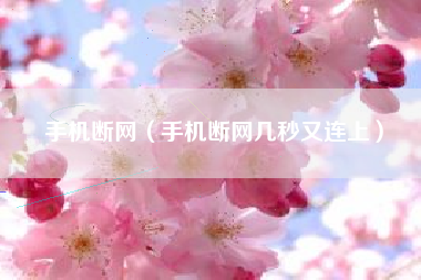 手机断网（手机断网几秒又连上）