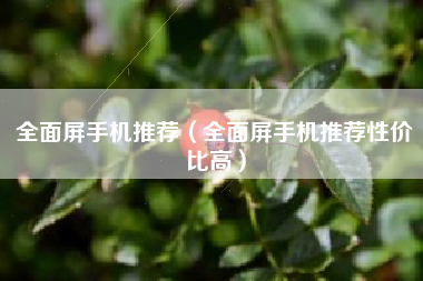 全面屏手机推荐（全面屏手机推荐性价比高）