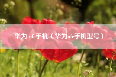 华为 nfc手机（华为nfc手机型号）