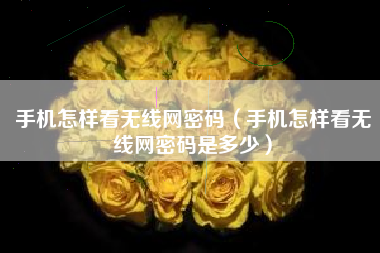 手机怎样看无线网密码（手机怎样看无线网密码是多少）