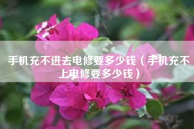 手机充不进去电修要多少钱（手机充不上电修要多少钱）