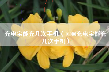 充电宝能充几次手机（10000充电宝能充几次手机）