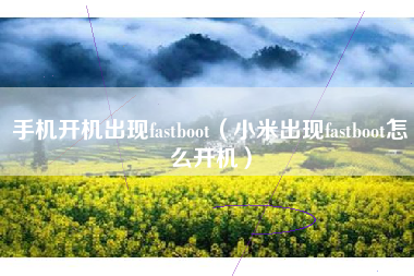 手机开机出现fastboot（小米出现fastboot怎么开机）