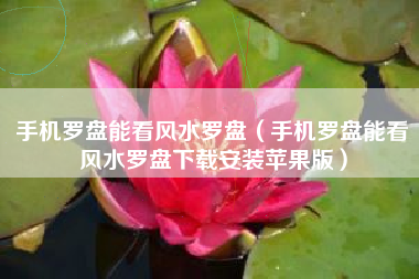 手机罗盘能看风水罗盘（手机罗盘能看风水罗盘下载安装苹果版）