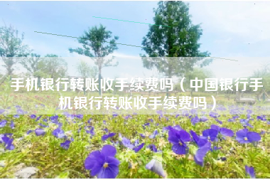 手机银行转账收手续费吗（中国银行手机银行转账收手续费吗）