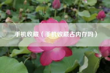 手机收藏（手机收藏占内存吗）