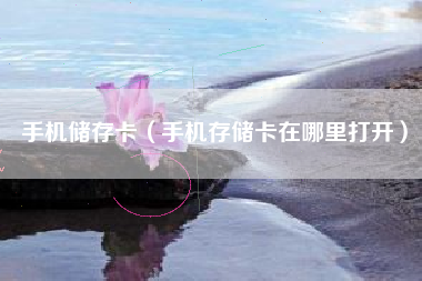 手机储存卡（手机存储卡在哪里打开）
