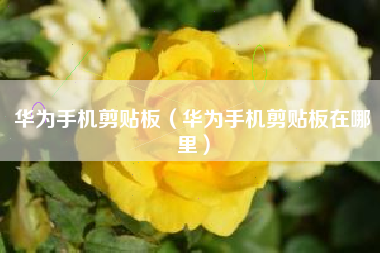 华为手机剪贴板（华为手机剪贴板在哪里）