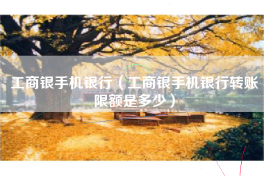 工商银手机银行（工商银手机银行转账限额是多少）