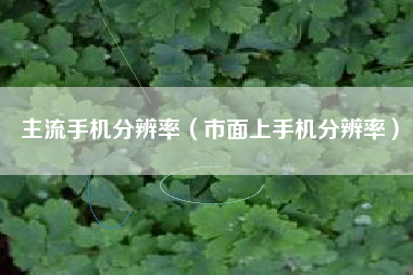 主流手机分辨率（市面上手机分辨率）