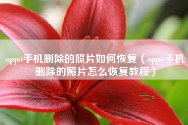 oppo手机删除的照片如何恢复（oppo手机删除的照片怎么恢复教程）