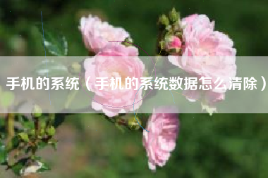 手机的系统（手机的系统数据怎么清除）