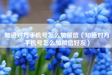 知道对方手机号怎么加微信（知道对方手机号怎么加微信好友）