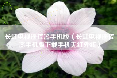 长虹电视遥控器手机版（长虹电视遥控器手机版下载手机无红外线）