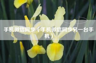 手机微信同步（手机微信同步另一台手机）
