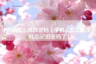 手机qq怎么修改密码（手机qq怎么修改密码,忘记旧密码了）