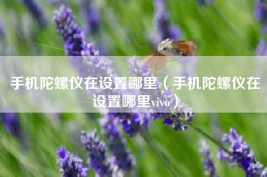 手机陀螺仪在设置哪里（手机陀螺仪在设置哪里vivo）