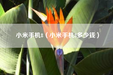 小米手机8（小米手机8多少钱）