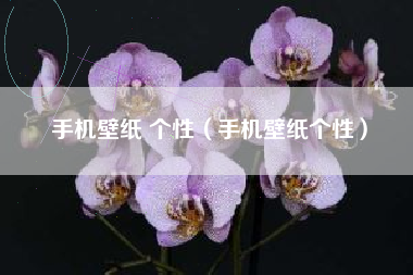 手机壁纸 个性（手机壁纸个性）