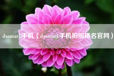 dxomark手机（dxomark手机拍照排名官网）