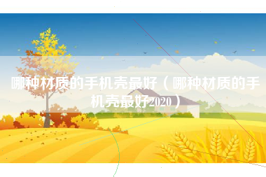 哪种材质的手机壳最好（哪种材质的手机壳最好2020）