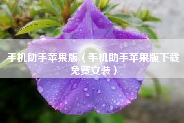 手机助手苹果版（手机助手苹果版下载免费安装）