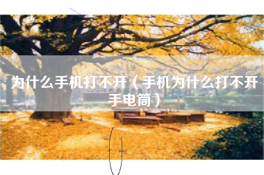 为什么手机打不开（手机为什么打不开手电筒）
