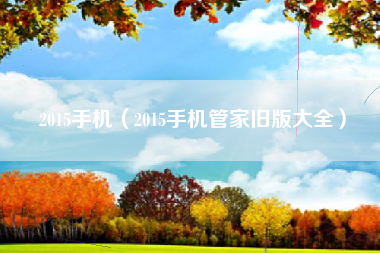 2015手机（2015手机管家旧版大全）