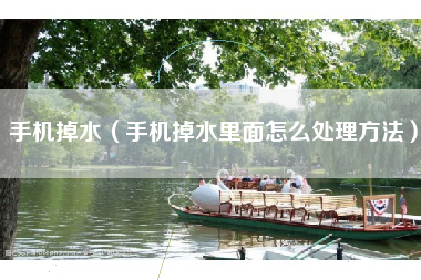 手机掉水（手机掉水里面怎么处理方法）
