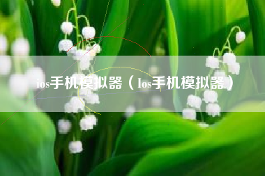 ios手机模拟器（Ios手机模拟器）