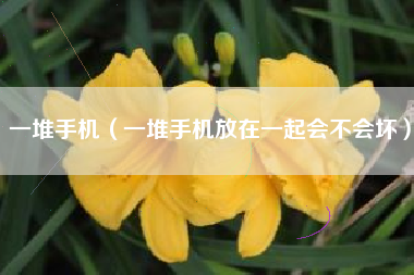 一堆手机（一堆手机放在一起会不会坏）