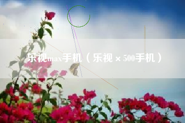 乐视max手机（乐视×500手机）