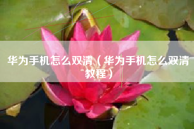 华为手机怎么双清（华为手机怎么双清教程）