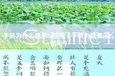 手机为什么显示2g信号（手机为啥显示2g信号）