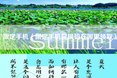 限定手机（限定手机兑换码在哪里领取）