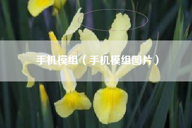 手机模组（手机模组图片）