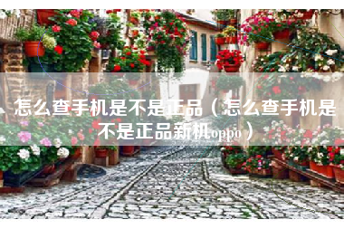 怎么查手机是不是正品（怎么查手机是不是正品新机oppo）